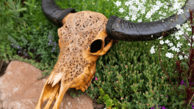 Decorative Buffalo Skulls For Sale