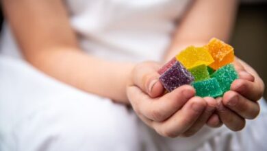 CBD gummies for kids