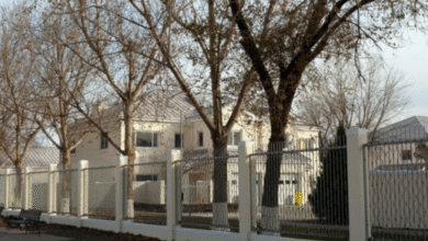custom metal fence